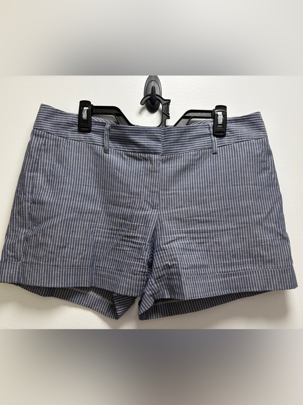 Daniel Cremieux Navy and White Pinstriped Women’s Shorts